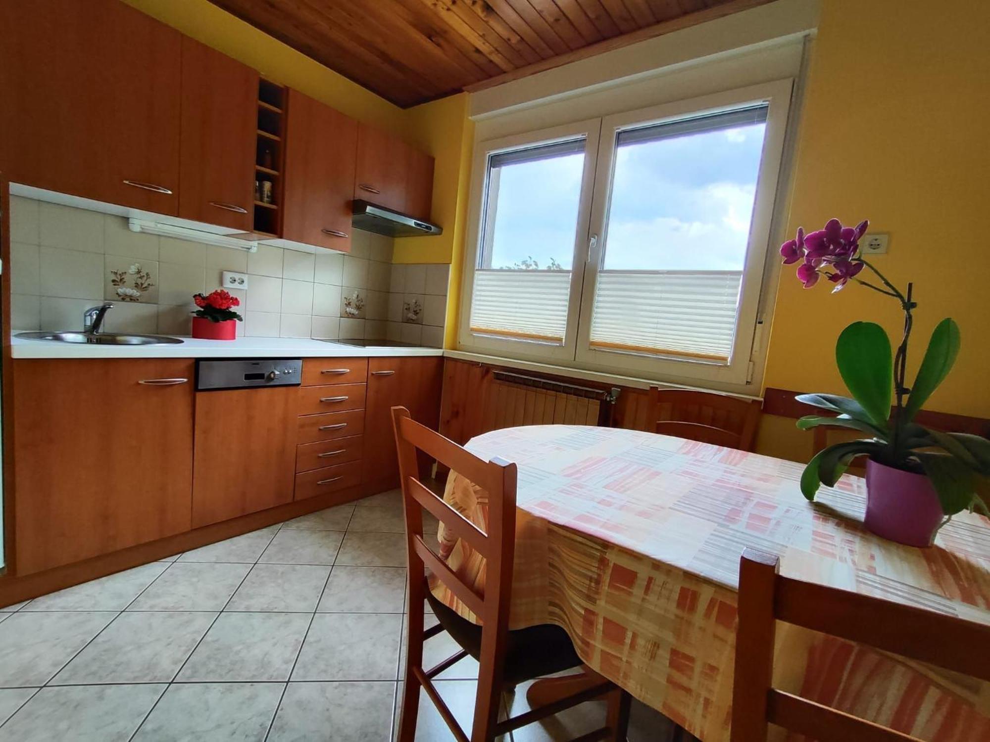 Apartment Kolman Tolmin Εξωτερικό φωτογραφία